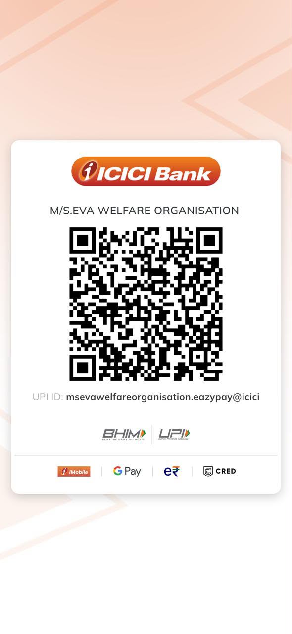Donate QR Code